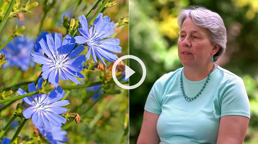 Laurie Anderson Potery Reading Video Still