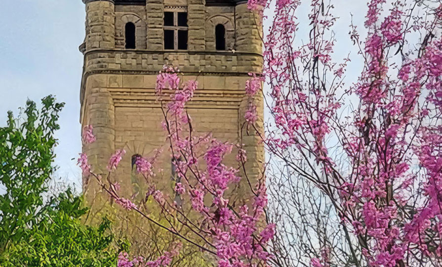 University Hall Tower in the Spring