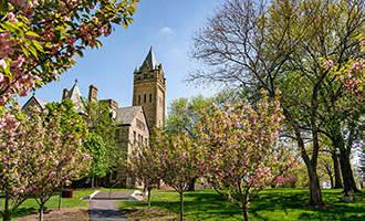 Spring Campus