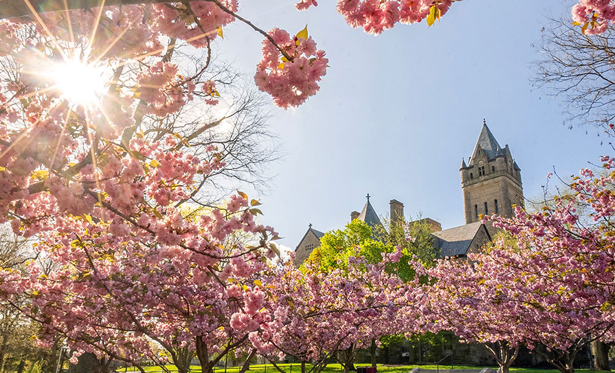 Spring Campus
