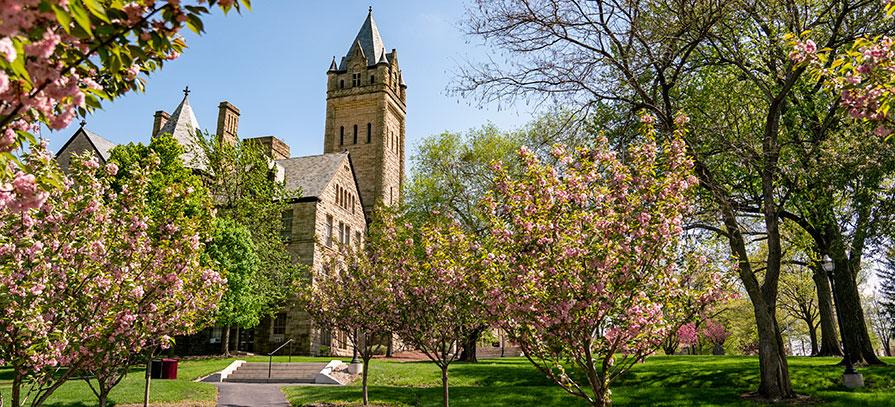 Spring Campus